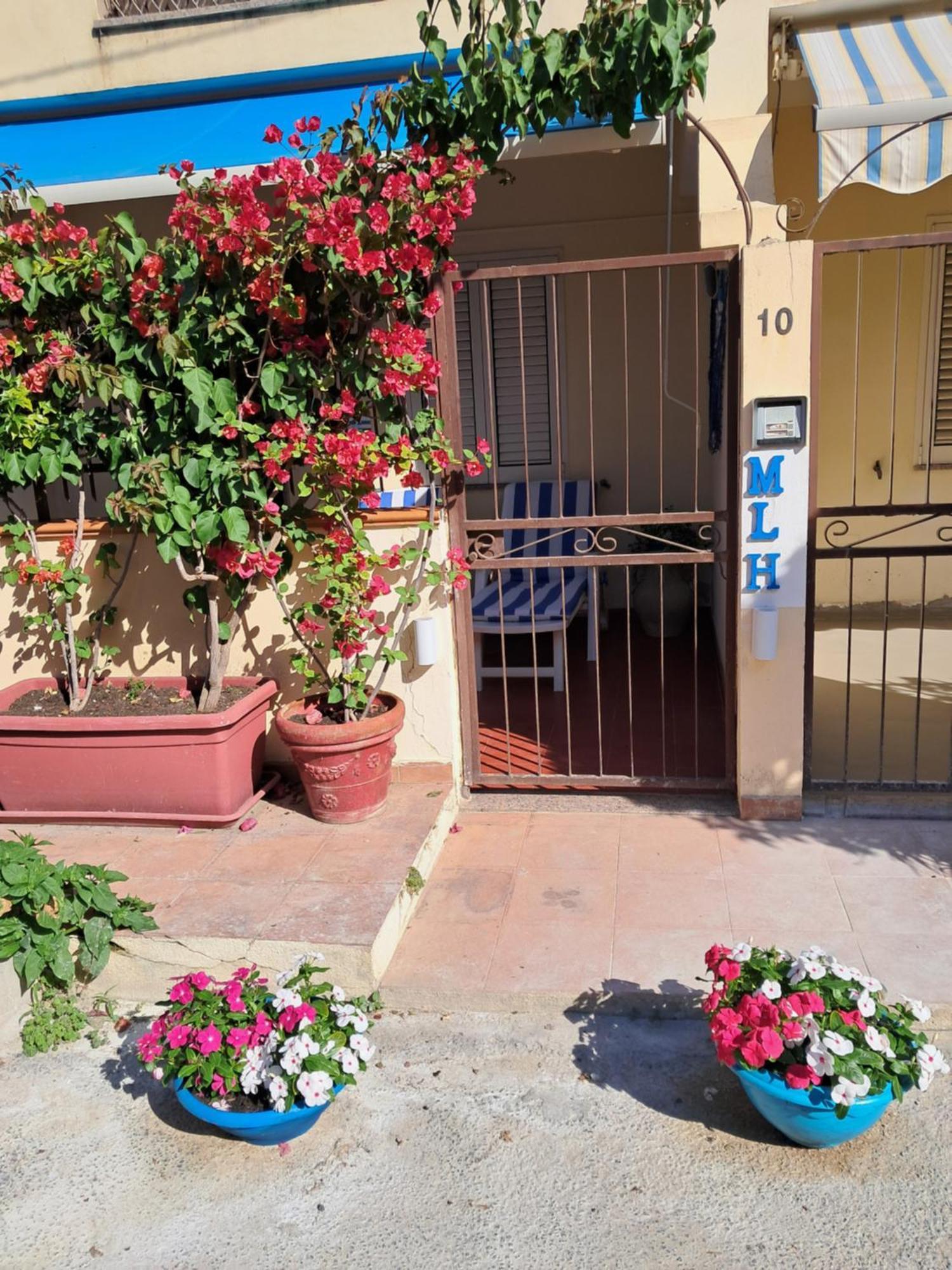 My Little House - Appartamento Con Patio E Parcheggio Privato A 5 Minuti Dalla Spiaggia E Dal Centro Tropea Eksteriør billede