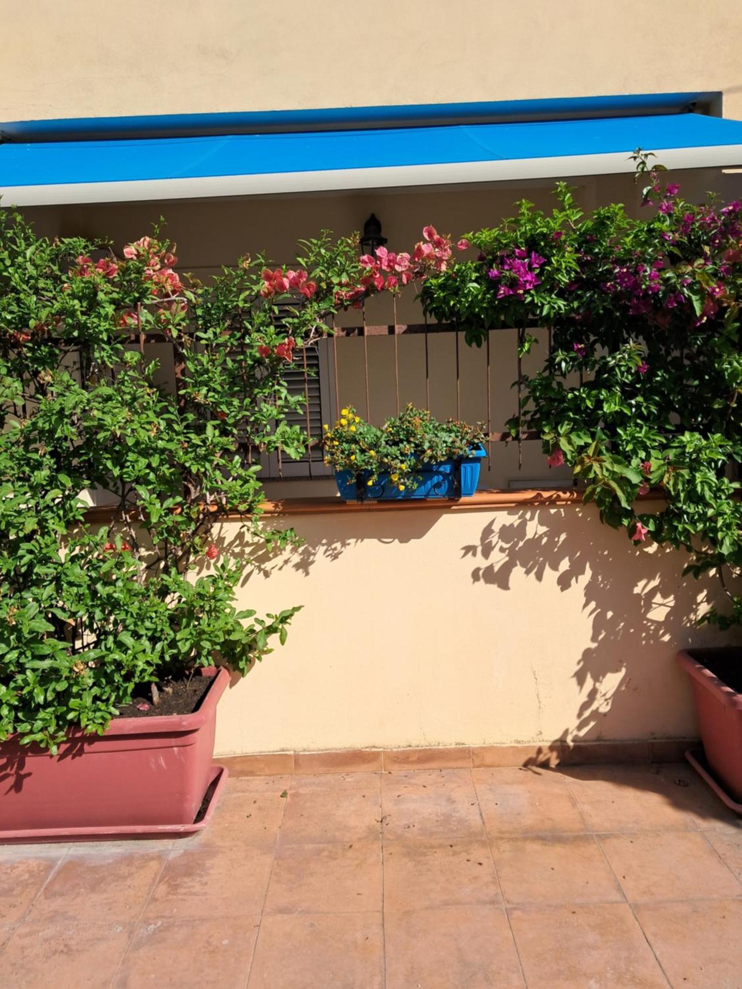 My Little House - Appartamento Con Patio E Parcheggio Privato A 5 Minuti Dalla Spiaggia E Dal Centro Tropea Eksteriør billede
